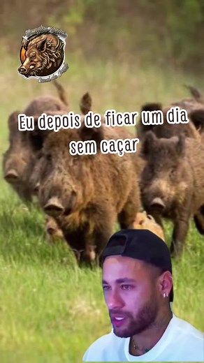 #douglasnunes #java #caçadores #javaliselvagem #javali #caçajavali #caçador #caça #cac