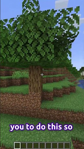 This Mod Fixes Leaf Decay.