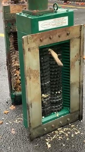 MOAT 18 - Muffin Monster