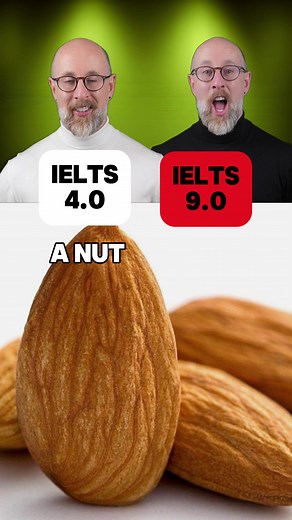 Learn English: Discover Different Types of Nuts