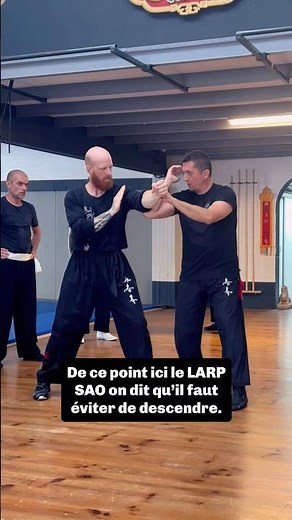 Wing Chun Basics ⛩️ The Vertical Elbow Strike ⛩️ EXPLANATIONS