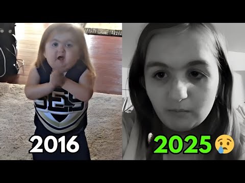 From Viral to Vanished — What Happened to the Internet’s Most Iconic Memes?