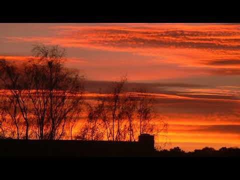 Livestream von Retro-Play Deutschland