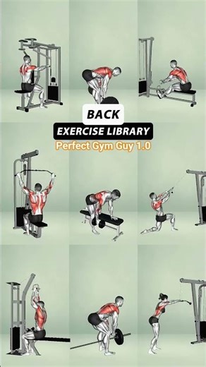 Complete Back Exercise Library | 9 Best Moves for a Thick & Wide Back