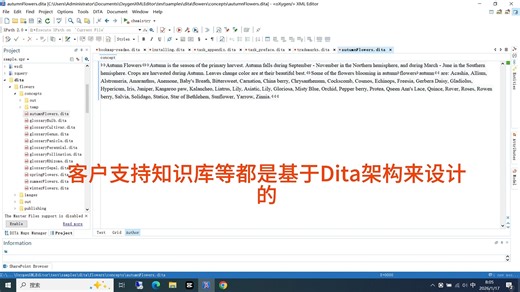 基于OxygenXMLEditor下的DITA文档创作