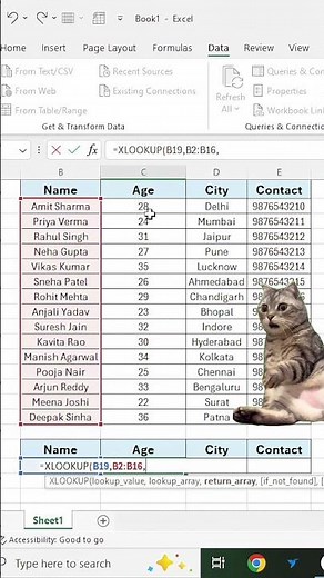 📊 XLOOKUP Tutorial for Beginners !#XLOOKUP #Excel #MicrosoftExcel #ExcelFormula #ExcelFunctions