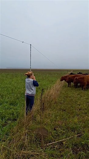 ONE GESTURE AND THE COWS KNOW WHERE TO GO! 🐄😳 #farming #tractor #farmlife #viral