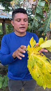 928K views · 11K reactions | Cómo quitar el dolor de colon | Soy Alvarito delcampo | Facebook