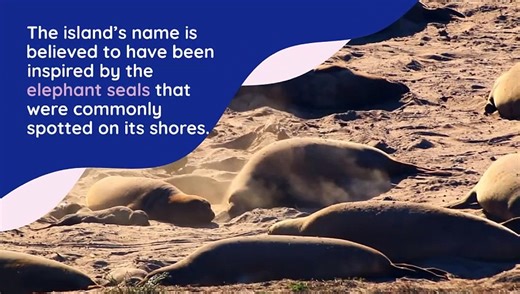 Elephant Island: A Tale of Endurance and Survival in Antarctica