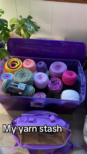 Checking in my yarn stash!