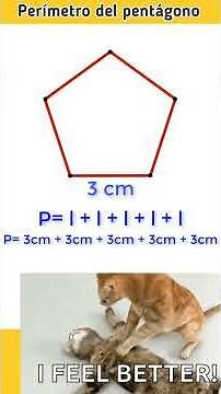 TE ENSEÑO A HALLAR EL PERIMETRO DEL PENTAGONO