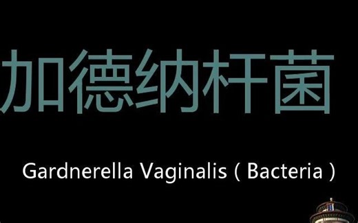 加德纳杆菌 Chinese Pronunciation Gardnerella Vaginalis ( Bacteria )
