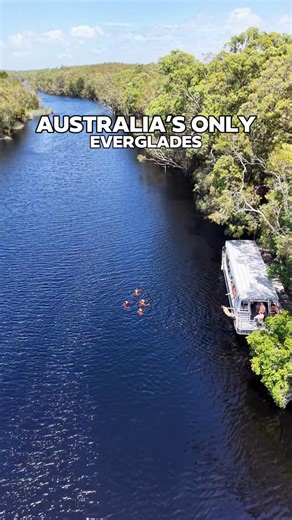 [ MUST STAY ] We Found Australia’s Only Everglades You Can Swim In And It’s Hiding Near Noosa If you have ever wanted to disappear into nature without giving up good coffee, comfy beds or proper creature comforts… this is THE spot. Just 25 minutes from Noosa, Habitat Noosa sits on the edge of Queensland’s largest lake and one of only two Everglades systems in the world. The water here is tea tree–infused, dark and mirror-like, and yes… you can actually swim in it. Our day started in full explore