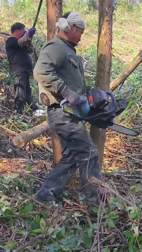 Master Logger's Secret: Lithium Electric Saw - Quiet, No Exhaust, Easy Switch