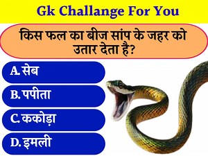 69K views · 1.3K reactions | Gk questions||Gk in Hindi||general knowledge in hindi||Gk quiz sansar #Gkinhindi #Gkquestions #generalknowledge #gk #gkquiz #gkquizsansar | GK Quiz Sansar | Facebook