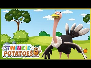Learn the ABCs: "O" is for Ostrich 🪶| Toddler Learning Video | Speech | ABCs | Baby Learning Videos