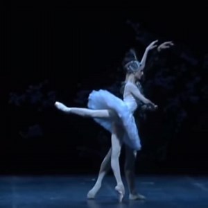 115K views · 13K reactions | Mesmerizing!  @svetlana_zakharova_official and @robertobolle in “La Bayadère  | Ballerina de Tutu | Facebook