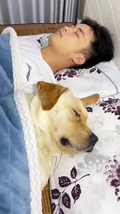When I misunderstood that my dog ​​was snoring, what was his reaction 😂 #viral #funny #reel #puppy | Rourou Dog