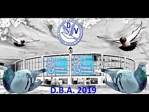 Deutsche Brieftauben Ausstellung D.B.A. 2019