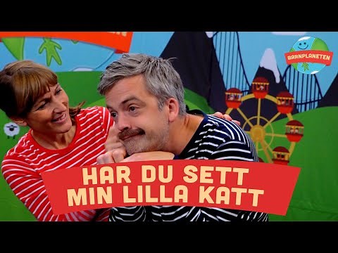 Kompisbandet - Har du sett min lilla katt