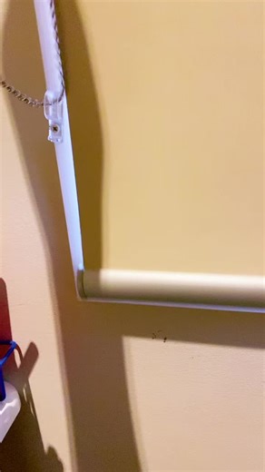 GRWM my ice roller didn’t work this time 😔 😂 #iceroller #clenser #facemist #toner #skincare #syrm #vaseoline #moisturisor #eyelashcurler #breakfast #englishmuffins #butter #toaster #makeingmybed #mikicard #fyp #fyyp #fypage #blowthisup #viral