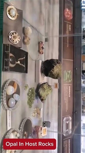 Inside the Rock: Stunning Opal Nodules Explained #gemstone #minerals #shorts #earthscience