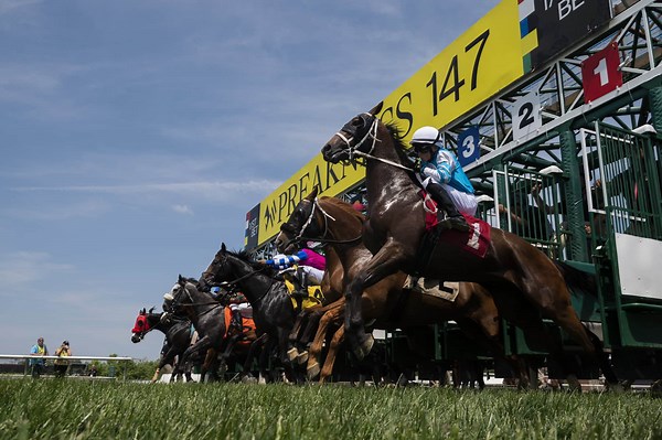 Preakness Stakes 2022: Results and Payouts - Early Voting Wins, Paying Out $13.40!