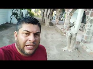 Casa palma una opción más para rentar en mulegé
