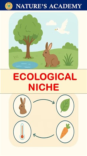Ecological Niche #education #botanylovers #botany #ecology #niche #ecologicalniche #biology