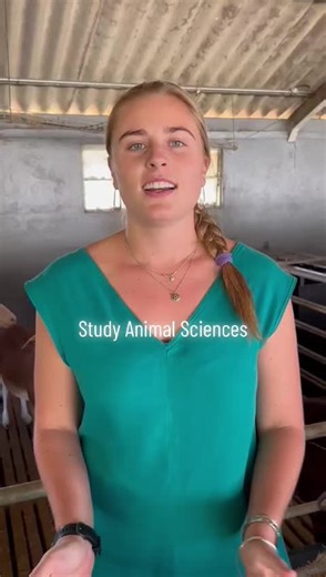 #animalscience #animalsciencestudent🐕💉 #animals #stellenboschuniversity #stellenbosch #agrimagic #agriculturetiktok #agriculture #saticktok🇿🇦 #ticktocksouthafrica