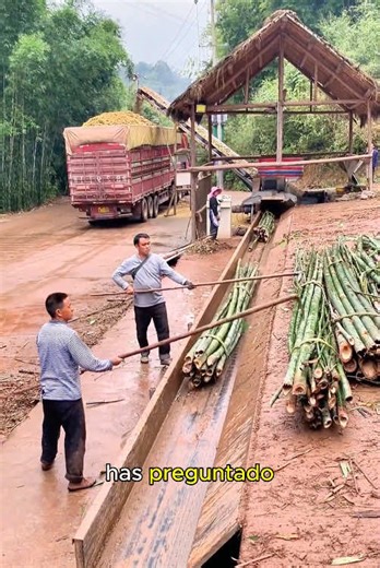 Bamboo Papermaking Technique: A Timeless Tradition