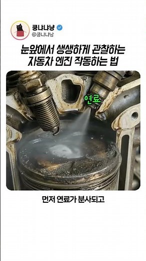 How a Car Engine Works: A Vivid Look Right Before Your Eyes