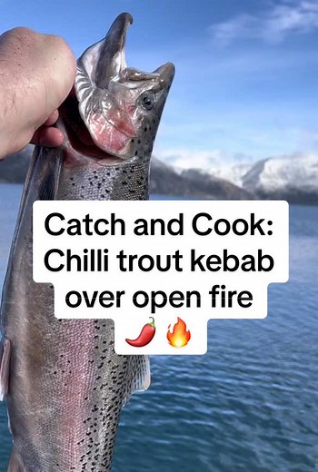 Catch and Cook: Chilli trout kebab over open fire #catchandcook #fishing #outdoors