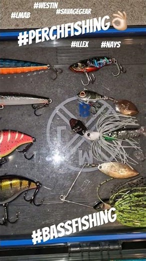 My best Baits for Perch👌🏻#perchfishing #perch #fishing #bassfishing #bass #nays #illex #predator