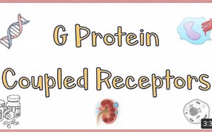 G Protein Coupled Receptors(GPCRs) - Structure, Function, Mechanism of Action.