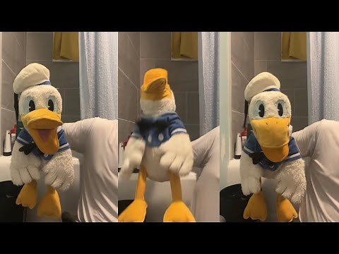 Donald Ducc TikToks That Will Make You LAUGH AND SMILE (DONT LAUGH CHALLENGE)