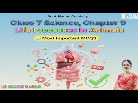 Life Processes in Animals MCQs | Class 7 Science Ch 9 (Curiosity)