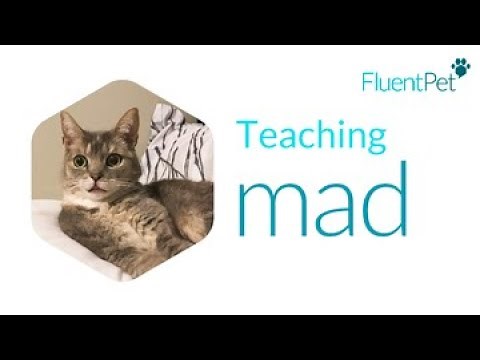 Teaching MAD | FluentPet Buttons