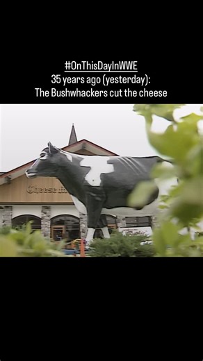 Stop sniggering, y'all... This isn't the only cheeky cheese innuendo in this segment on Saturday Night's Main Event I’m sure kids were confused by the “head cheese” reference too And we get a drunk Lord Alfred Hayes Well, at least Vince probably enjoyed this... #OnThisDayInWWE | On This Day in WWE