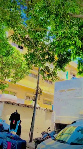 #Ao #Kana #Boss #🦁🦂☝️🥷🥀💞❤️😘🥀❤️❤️💞🥀🥀🥀🥀😘😘🥀🥀😘😘😘🥀 @ــ ــ باغی🦅--- -- @🦂Mamu.ملنگ🦂 @SAMAD👑☠Jan 109 @irshad K 101