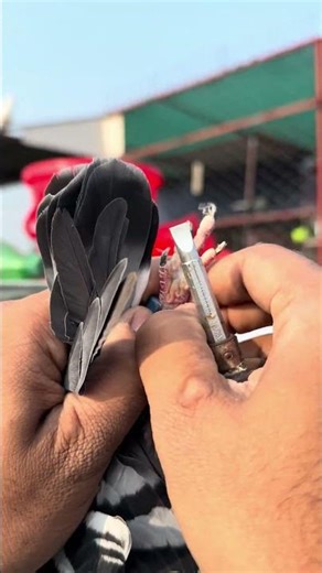 Easy way to remove RFID tag From Pigeon #güvercin #merpati #کبوتر #kabootar #kalapati