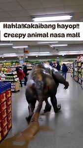 60 shares · 12 comments | Cree Animal #reelsviral #fyp #fb #reels #everyone #viral #trending #followers #friends #highlights #StarSender #fun #funny #comedy #funnymoments #funnyreels #funnyvideos #funnypost #StarsEverywhere #reelsviral #StarSender #Amazing #God #Godisgood #GODTOBETHEGLORY | Judilyn Owano Ouano | Facebook