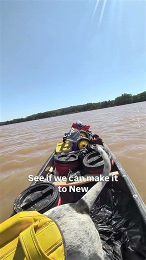 Quit Fighting the River… Take What It Gives You 🛶🐕