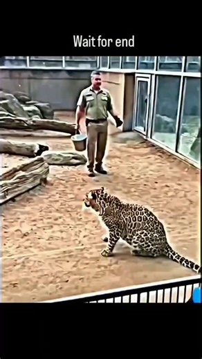 @ew.edt on Instagram: "#🇯🇵Japan is turning footsteps into electricity! Using piezoelectric tiles, every step you take generates a small amount of energy. Millions of steps together can power LED lights and displays in busy places like Shibuya Station. A brilliant way to create a sustainable and smart city • turning m..."