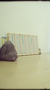 Join Phillips’ Caroline Knighton for an insider’s art tour at Mount Street Arts Festival. | Mount Street Neighbourhood