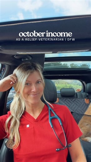 Dr. Anna Schozer | Relief Veterinarian on Instagram: "OCTOBER INCOME 💰 this month… 🩺 i worked 17 shifts, totaling 174 hours 🚙 i commuted 952 miles to 5 different clinics 👩🏼‍⚕️ i saw 107 animals - 84 dogs & 23 cats 🌈 i helped 7 animals cross the rainbow bridge 🏥 i admitted 2 animals to the hospital RELIEF INCOME: $29,630 + SOCIAL MEDIA: $1,759.75 - BUSINESS EXPENSES: $1,536.65 (CPA, payroll, health/dental insurance, AVMA renewal, NH license renewal) - 401K CONTRIBUTION: $3,916.65 *i have a