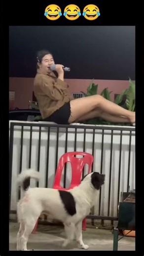 Funniest Human Fails Ever – You Can’t Stop Laughing 🤣#funny #fails #usa #short #funnyvideos #comedy