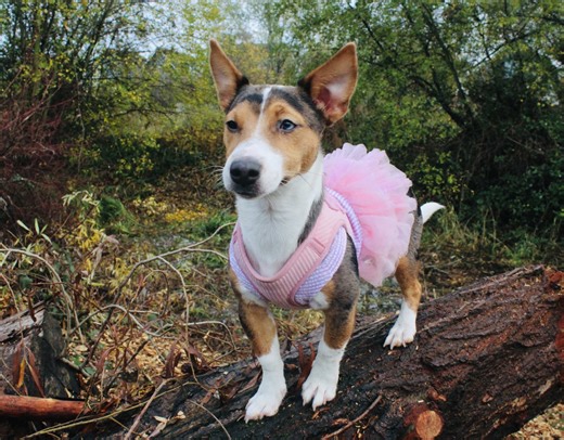 Understanding Space Invaders in Personal Space