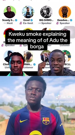 Understanding the Meaning of Adu the Borga by Kweku Smoke