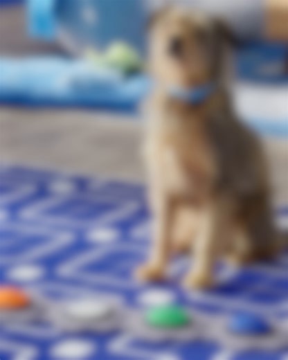 Make no bones about it. Fifth Third Bank works hard to make Banking a Fifth Third Better every day. | Fifth Third Bank